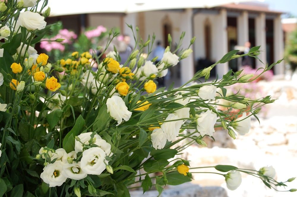 Masseria La Grande Quercia Hotel Mottola Kültér fotó